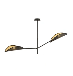 Люстра EMIBIG Lighting VENE 1158/2
