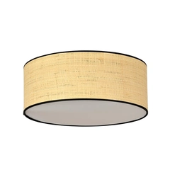 Стельовий світильник EMIBIG Lighting ASTON 1149/3