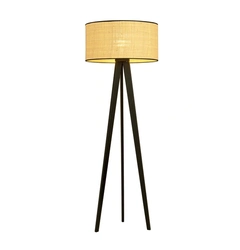 Торшер EMIBIG Lighting ASTON 1149/LP1