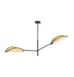 Люстра EMIBIG Lighting VENE 1160/2