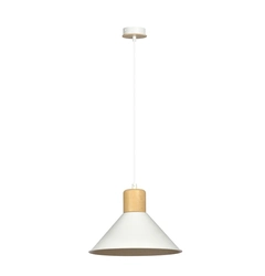 Підвісний світильник EMIBIG Lighting ROWEN 1045/1