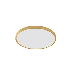 Стельовий світильник CAMI LED ZumaLine WM-BP1108-S-G