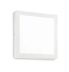 Настінно-стельовий світильник Ideal Lux UNIVERSAL D60 SQUARE 240510