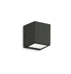 Вуличний світильник Ideal Lux TWIN AP1 SMALL 229546