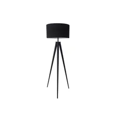 Торшер Zuma Line MARESCA TS-170429F-BK