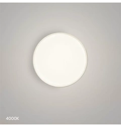 Стельовий світильник Searchlight VERVE CE-VER40-W