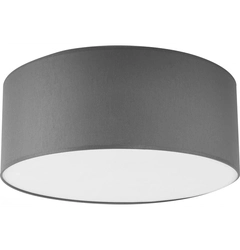 Стельовий світильник TK-Lighting TREWIR 4455