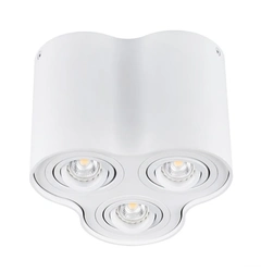 Точковий світильник Kanlux BORD DLP-350-W 25800