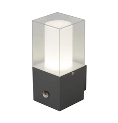 Настінний вуличний світильник Searchlight LED OUTDOOR 2581GY
