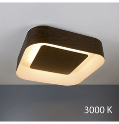 Потолочный светильник ImperiumLight Zenith 398165.45.91