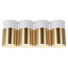 Точковий світильник Pikart BP BLACK/WHITE GOLD 25624-4