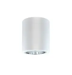 Точечный светильник Goldlux 307170 Jupiter E27 1x20W IP20 WH