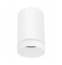 Точечный светильник Goldlux 319883 Fabri GU10 1x10W IP20 WH