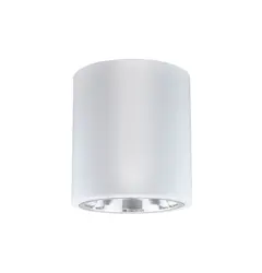Точечный светильник Goldlux 307187 Jupiter E27 1x20W IP20 WH