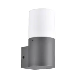 Уличный светильник Goldlux 315960 Dallas E27 1x12W IP44 GR