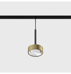Підвісний світильник IN_LINE SOL MINI P, D75mm, H135mm, LED 7W, 610Lm, 3000K, 24°, CRI>90, 48V, 2-х групний, Вкл./Викл., IP20, латунь/чорний