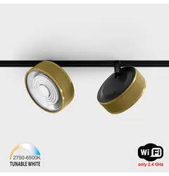Прожектор IN_LINE SOL TW, D95mm, H33mm, LED 13W, TW DIM: 2700K(881Lm)-6500K(1025Lm), 24°, CRI>90, 48V DС, IP20, латунь/чорний