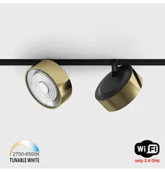Прожектор IN_LINE SOL TW, D95mm, H33mm, LED 13W, TW DIM: 2700K(881Lm)-6500K(1025Lm), 24°, CRI>90, 48V DС, IP20, латунь/чорний