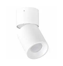 Точечный светильник Goldlux 314239 Nixa GU10 1x10W IP20 WH