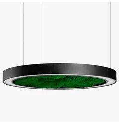 Люстра Imperium Light WHEEL WITH FLAT MOSS 62718001.05.72.93