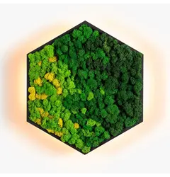 Бра Imperium Light FELIZELI REINDEER MOSS 78513003.05.99.91