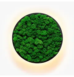 Бра Imperium Light JACE REINDEER MOSS 78612503.05.70.92
