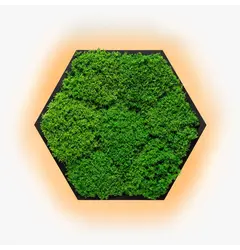Бра Imperium Light FELIZELI FLAT MOSS 78712501.05.70.91
