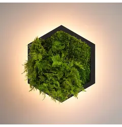 Бра Imperium Light FELIZELI FERN 79111903.05.70.91