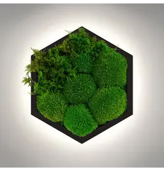 Бра Imperium Light FELIZELI FERN 79112602.05.71.93