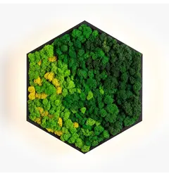Бра Imperium Light FELIZELI REINDEER MOSS 78513603.05.99.93
