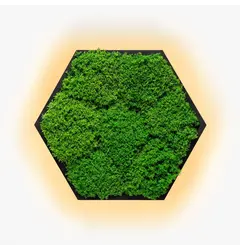 Бра Imperium Light FELIZELI FLAT MOSS 78713001.05.70.92