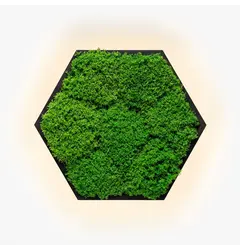Бра Imperium Light FELIZELI FLAT MOSS 78713001.05.70.93