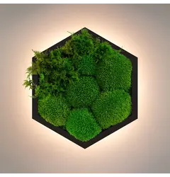 Бра Imperium Light FELIZELI FERN 79112402.05.71.91