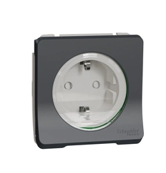 Механизм розетки с ж/к и с/к IP55, черный Mureva Styl Schneider Electric MUR36134