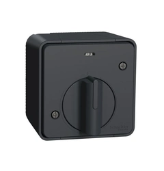 Выключатель с таймером IP55, наружный монтаж, черный, Mureva Styl Schneider Electric MUR35067