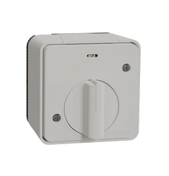 Выключатель с таймером IP55, наружный монтаж, белый, Mureva Styl Schneider Electric MUR39067