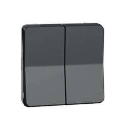 Механизм двухклавишного переключателя IP55, черный, Mureva Styl Schneider Electric MUR35019