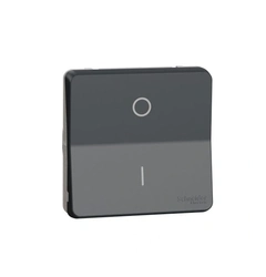 Механизм переключателя двухполюсный IP55, черный, Mureva Styl Schneider Electric MUR35034