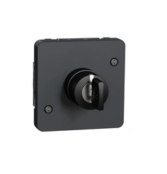 Механизм выключателя с ключом на 3 положения IP55, черный, Mureva Styl Schneider Electric MUR35061