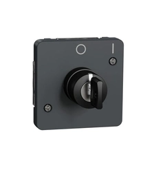 Механизм выключателя с ключом на 2 положения IP55, черный, Mureva Styl Schneider Electric MUR35062