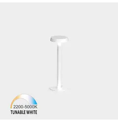 Настільна лампа MOON, D116mm, H350mm, LED 2W, Tunable white (TW):2200K-5000K, час роботи від батареї близько 6 годин після повного заряду, IP20, сенсорне управління, білий