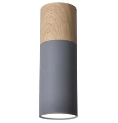 Точковий світильник Candellux 2284286 TUBA