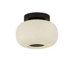 Стельовий світильник Searchlight LUMINA 10271-1BK
