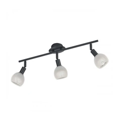 Светильник-спот TRIO R80593032 Brest