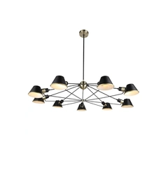 Люстра Laguna Lighting 42663-09