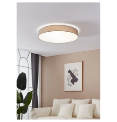 Потолочный светильник LED EGLO 97783 ROMAO 3