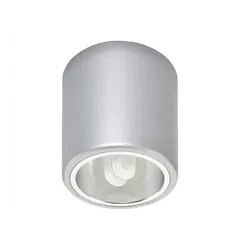 Світильник 4868 Nowodvorski DOWNLIGHT SILVER