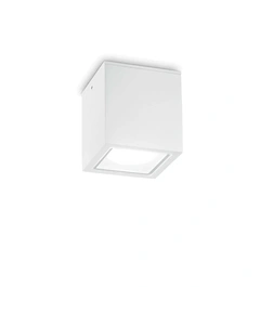 Ideal Lux TECHO 251523