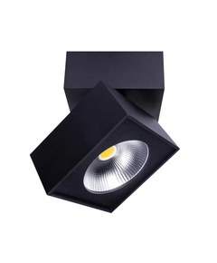 Потолочный светильник MAXlight ARTU C0191