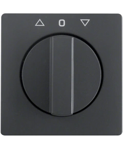 Накладка поворотного выключателя для жалюзи, антрацит, «Q.1»/«Q.3»/«Q7» 10806086